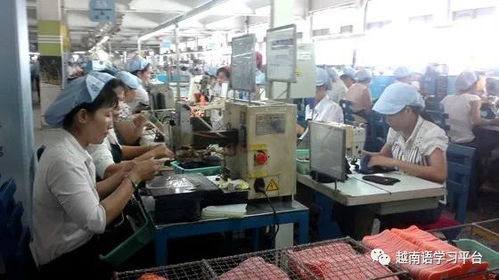 越南又一鞋厂裁员近3000名工人,老牌企业也扛不住了